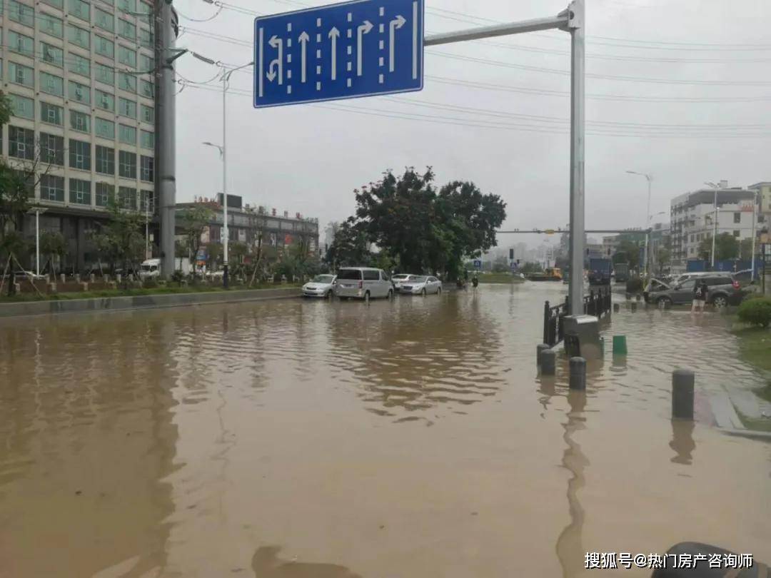 经过暴雨洗礼的新塘,震撼,实时多图!