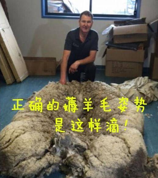 干货手把手教你薅羊毛不要再说我没告诉你啦