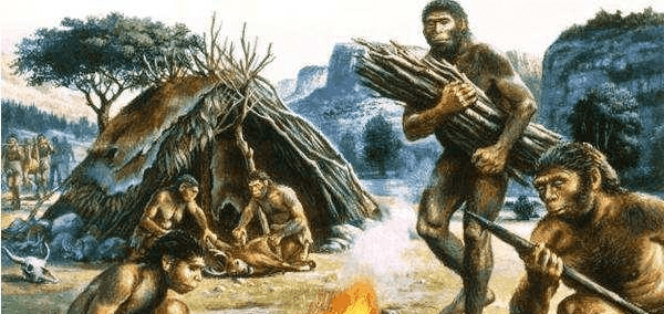 中间缺了20万年进化史,古猿究竟去了哪里?