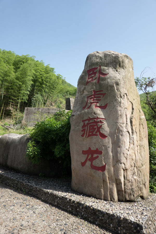 不用去成都就可以近距離看大熊貓,還是臥龍藏虎拍攝地