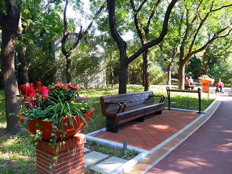 北京第一座老年主题公园,就在二环内!免费游玩!