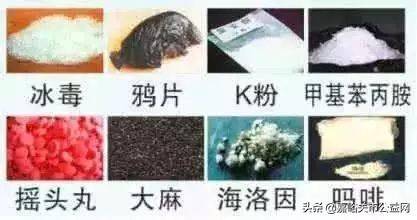 常见毒品基本常识_危害