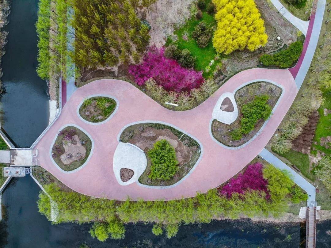 生态绿廊是一片绿洲却从未放下我们对于大自然的那份向往但从始到终