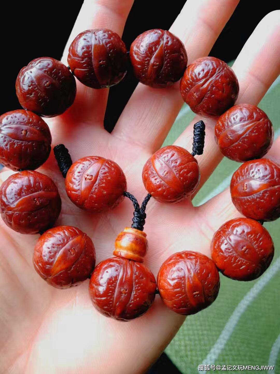 了解凤眼菩提,这篇文章就够了!