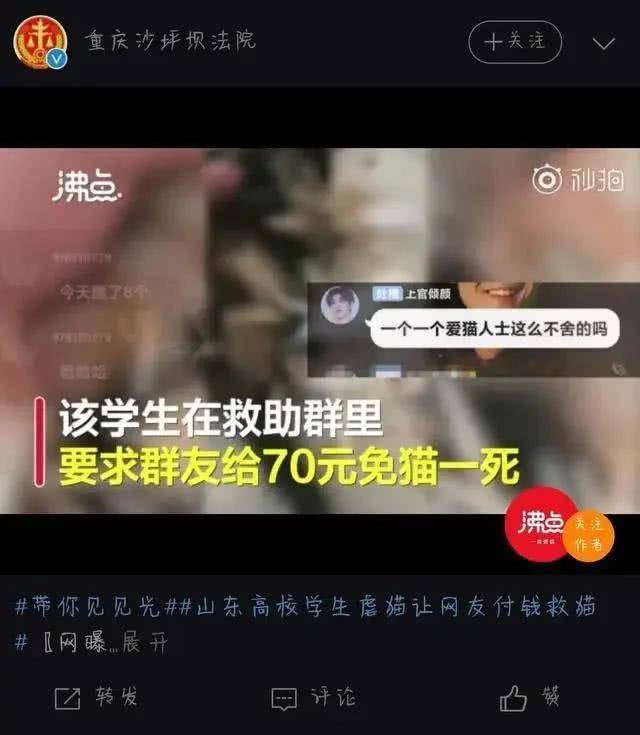 张洪泉:大学生虐猫被“引咎退学”是一种教育暴力 张洪泉:大学生虐猫被“引咎退学”是一种教育暴力