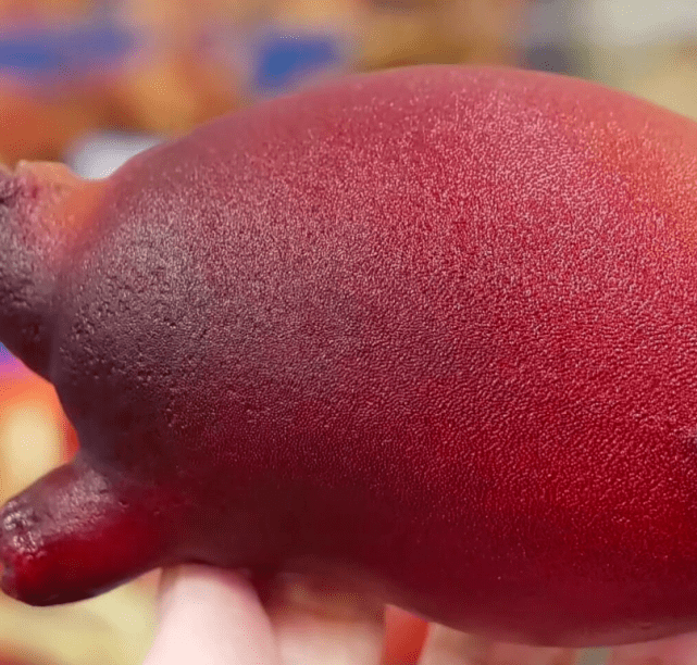 原创 韩国济州岛的海鞘刺身,看着就和切百香果一样,但是没几个人敢吃