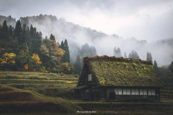 图片[3] - 【xizi被窝段子20200529】生活是苦难的 我又划着断桨出发 - xizi