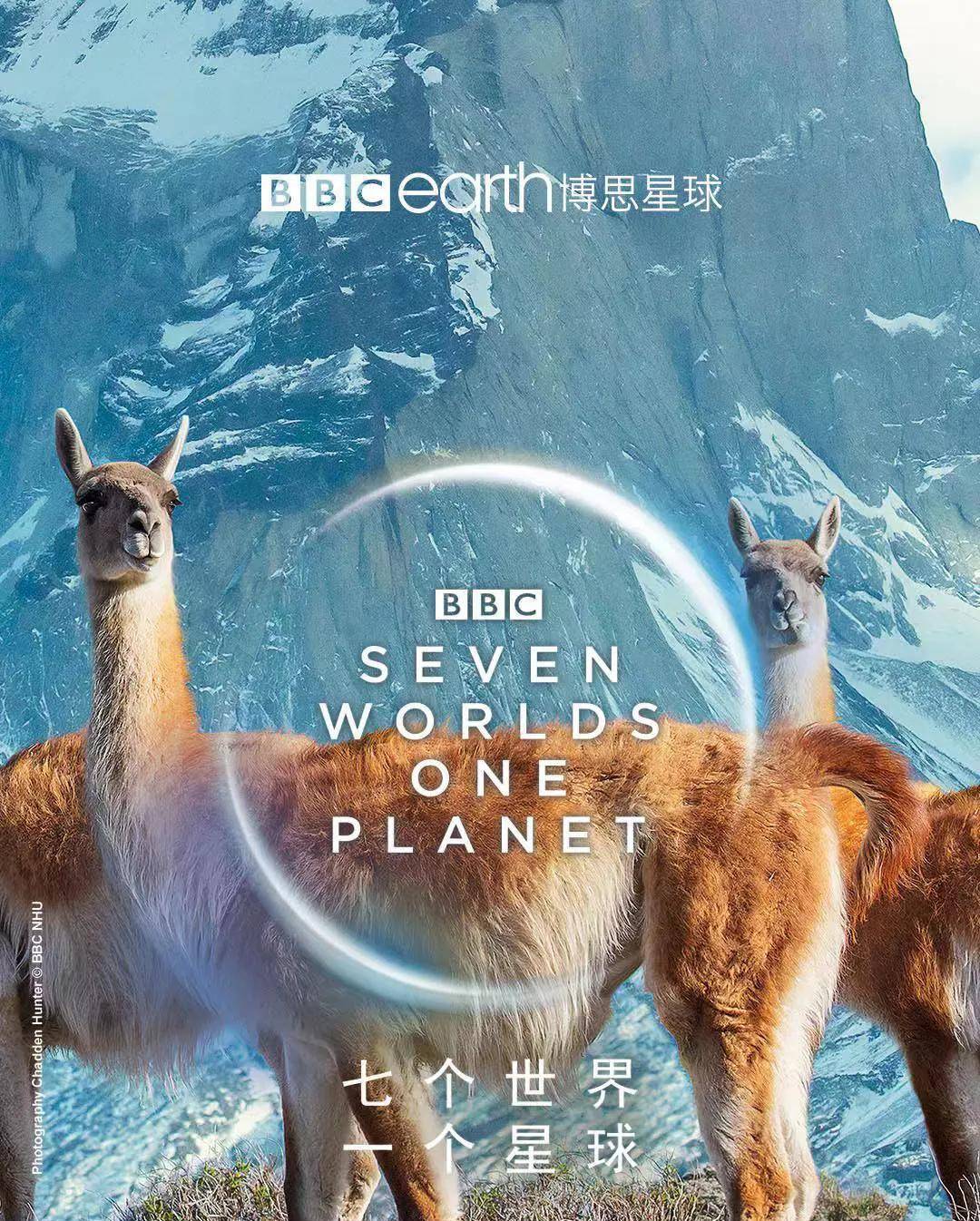 《七个世界·一个星球》第三集:南美洲,原始野性的最后挣扎_手机搜狐