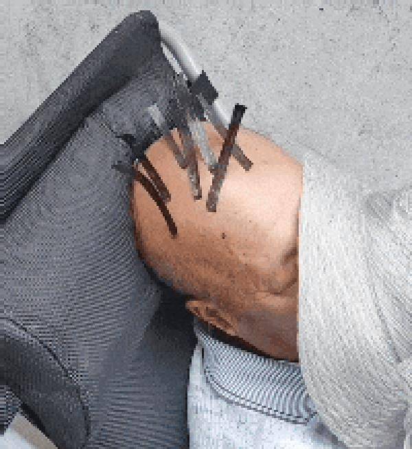 搞笑gif:植发三天了,越来越粗壮了!