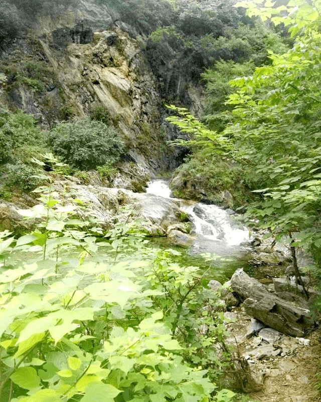 秦岭泥峪:身处秘境不思归