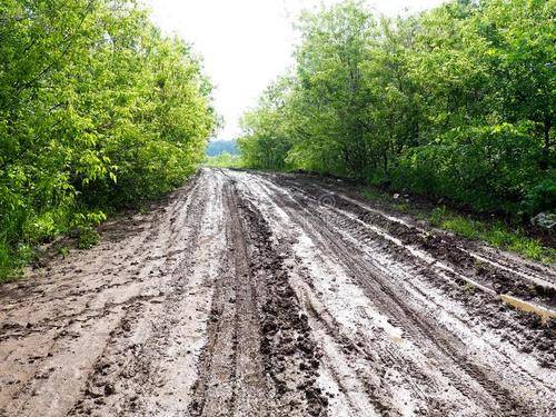 毒跑道源自有毒废料tdi塑胶跑道检测该如何规定