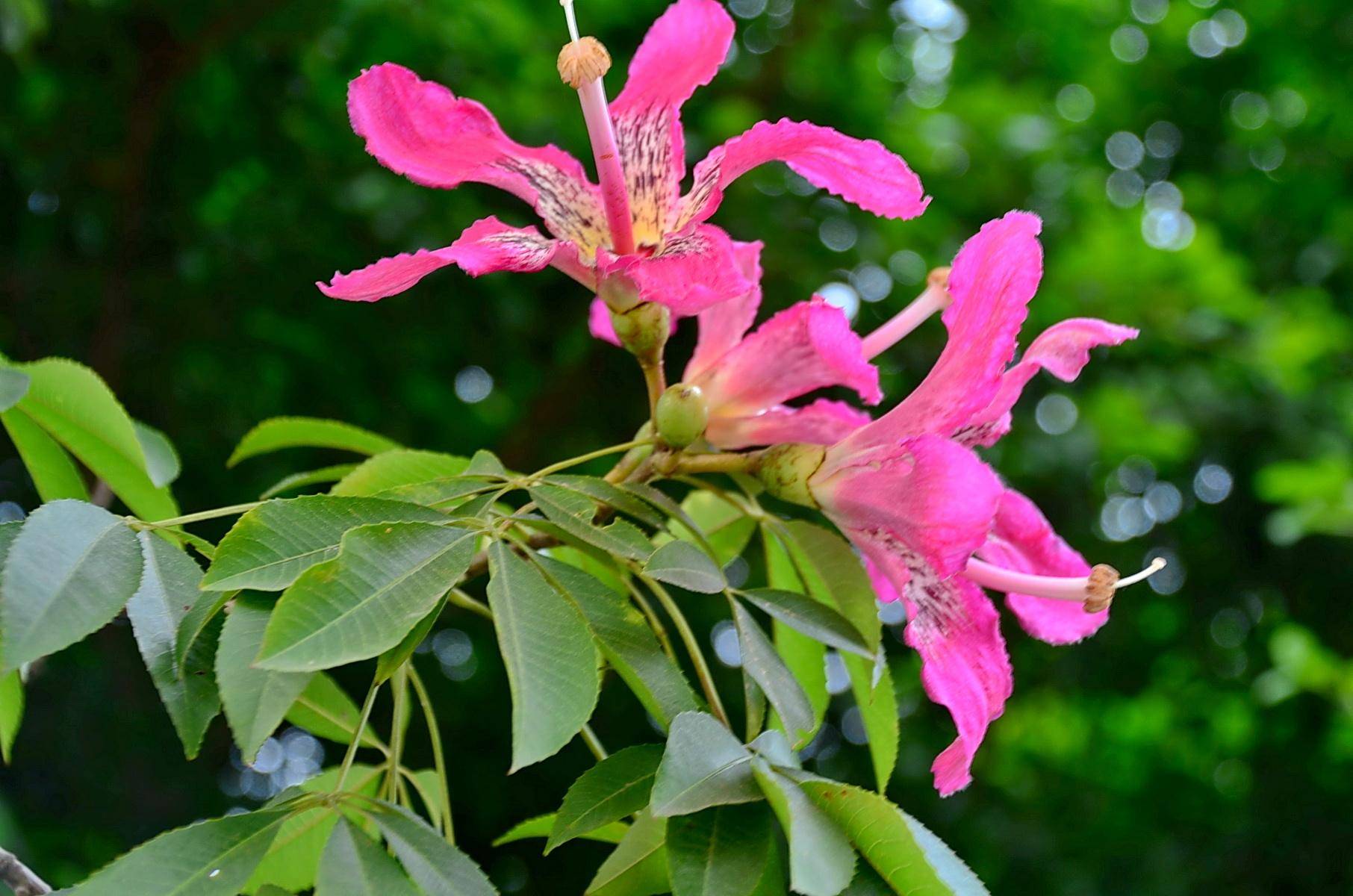 三月中旬,好运连连的三大星座,贵人相助,不缺财运!