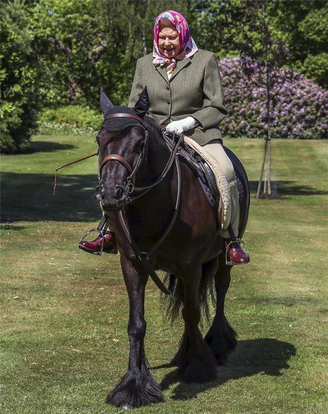 原创伊丽莎白女王从13岁到94岁的骑马照英姿飒爽太赞了
