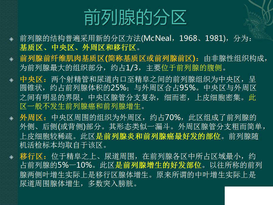 精彩解剖腎臟輸尿管膀胱腎上腺前列腺