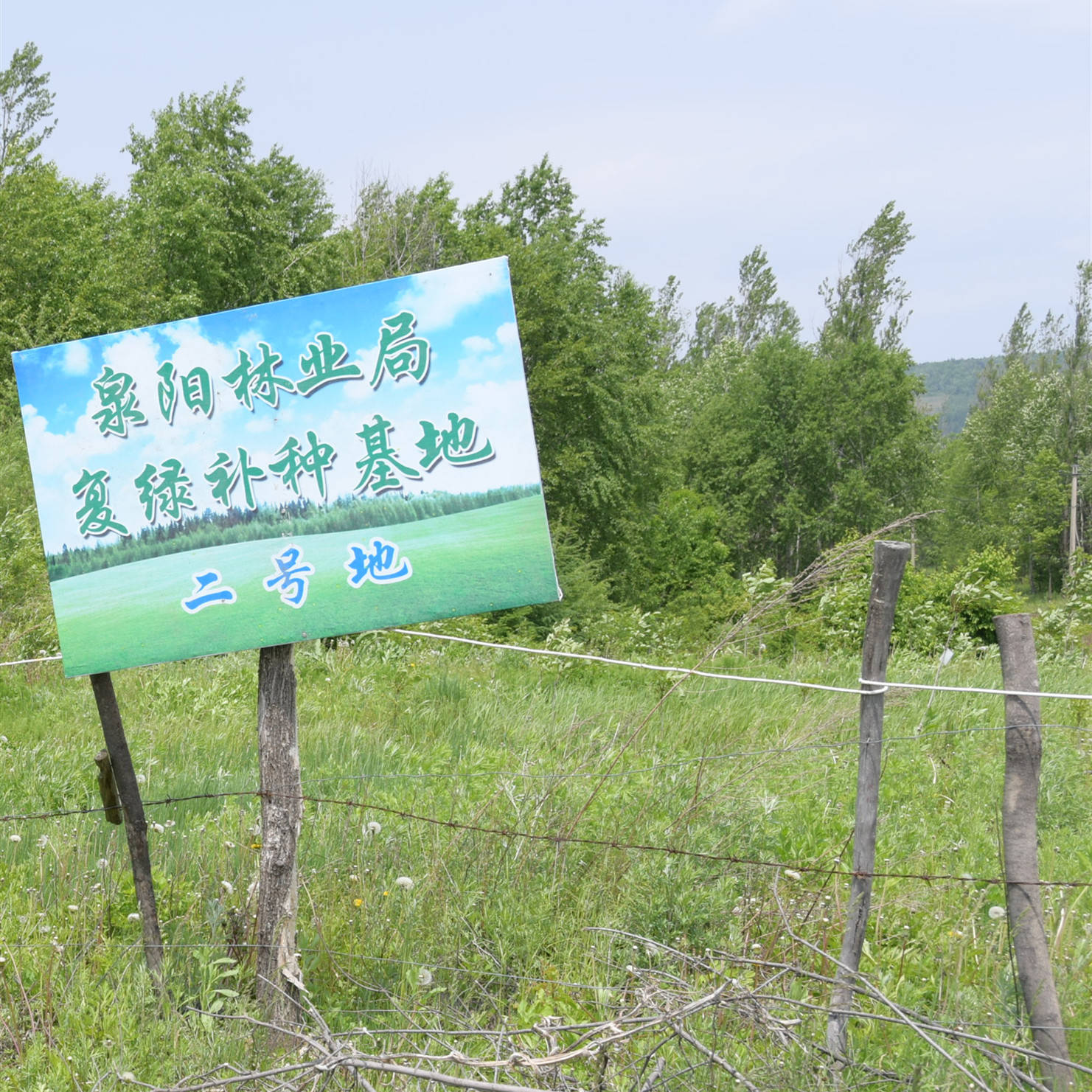 抚松林区基层法院推进"复绿补种"机制 恢复生态环境建设警示教育基地