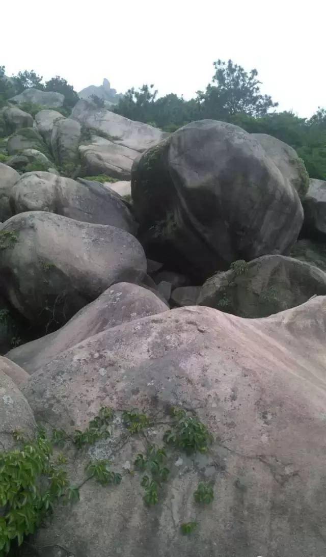 三月的海云岩福建漳浦王碧月