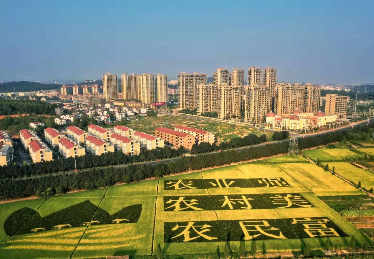 武义列入国家新型城镇化建设示范名单 金华市只有武义县榜上有名