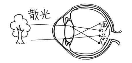 散光也会引起视力下降,这7个预防小妙招要收好!