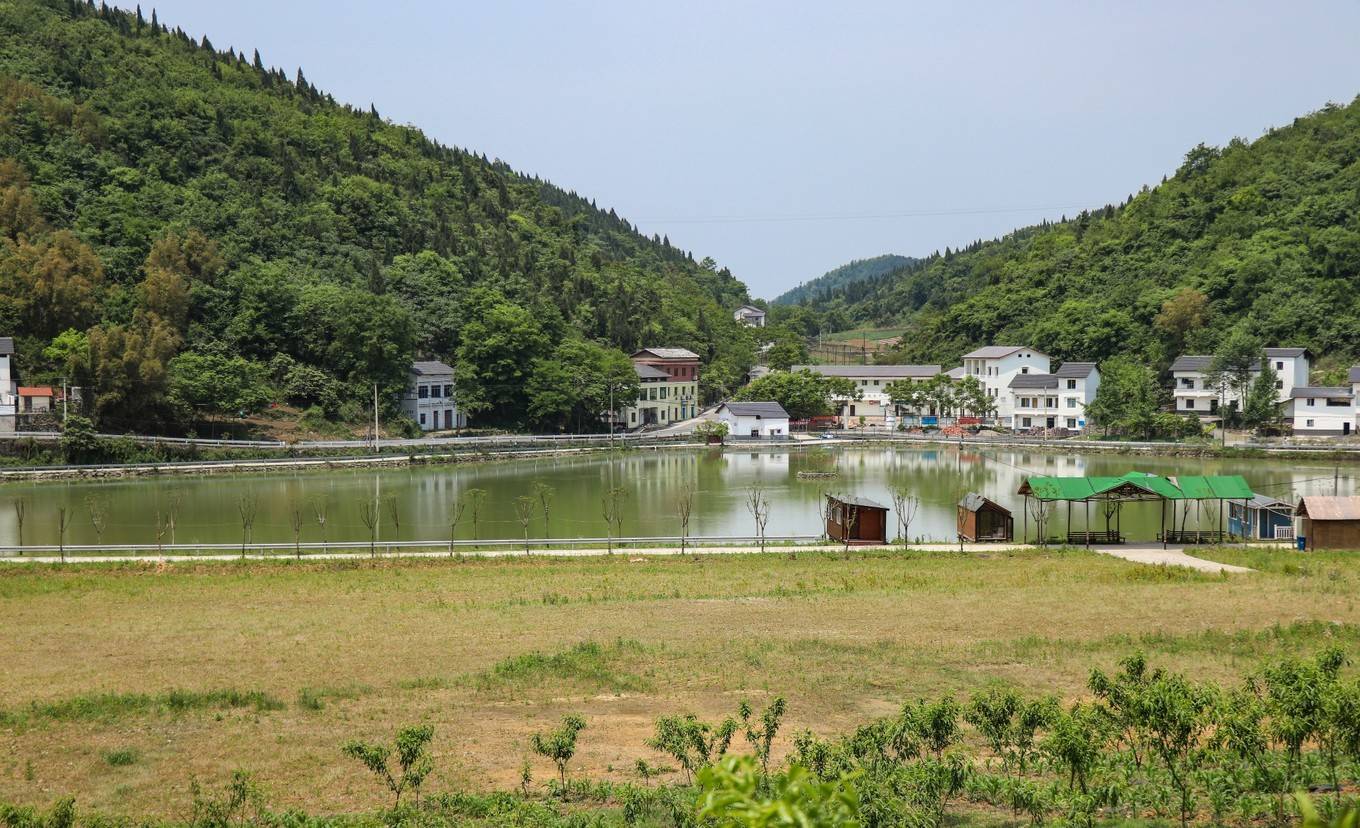 沐丰园生态农场草场