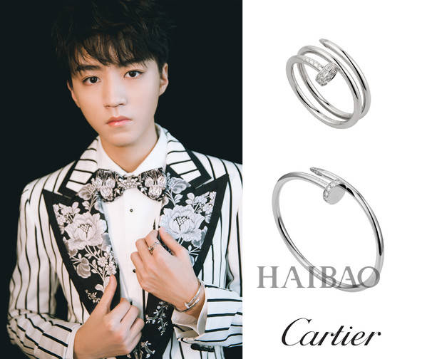 王俊凯佩戴卡地亚 (cartier) 珠宝弟弟佩戴的珠宝和西服颜色一样,和谐