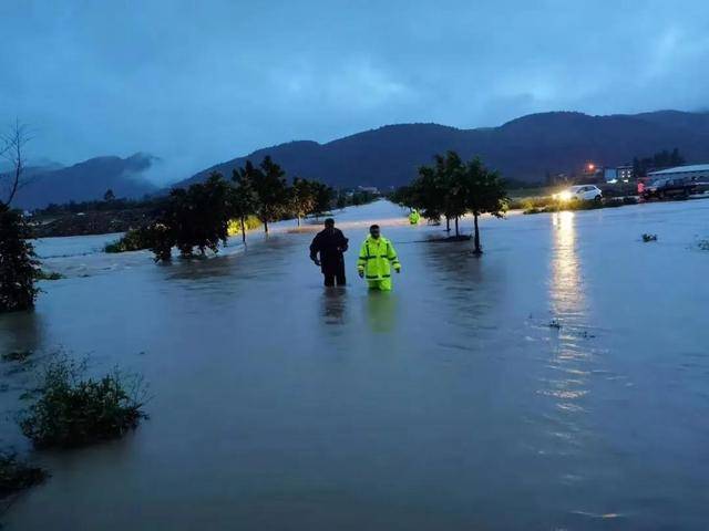 一个数据上了热搜_惠州