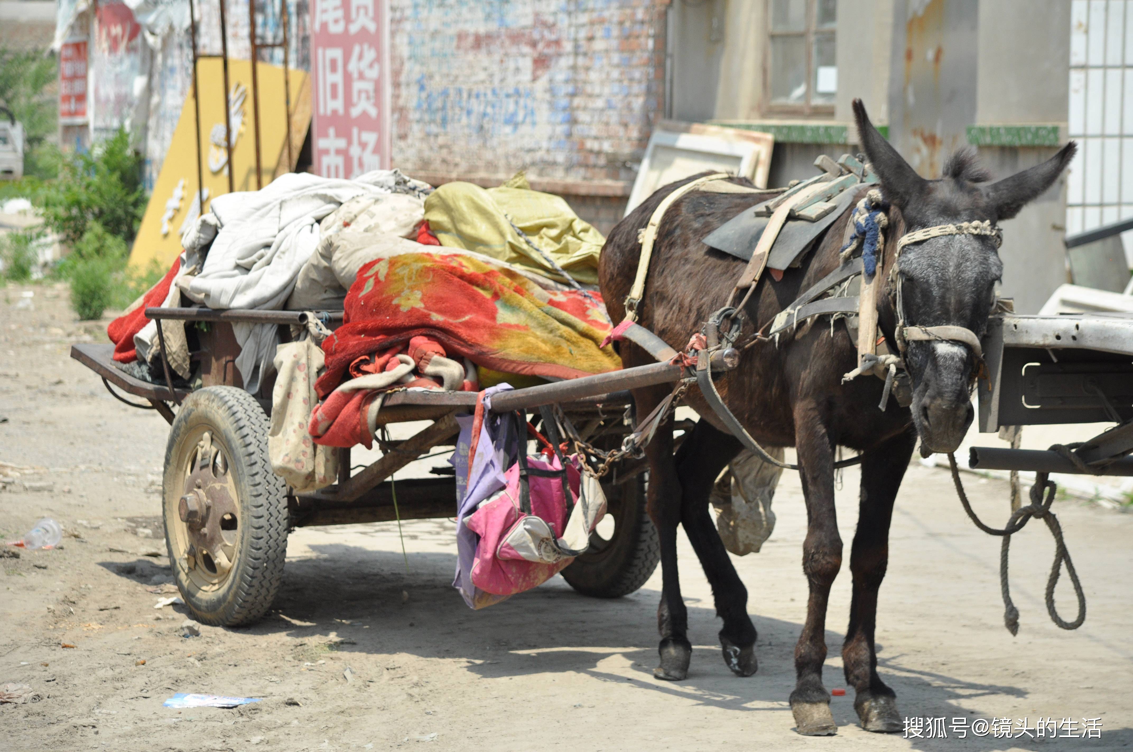 80后儿时坐的第一辆"豪车",物件已叫不出名字,看还认识么_毛驴车