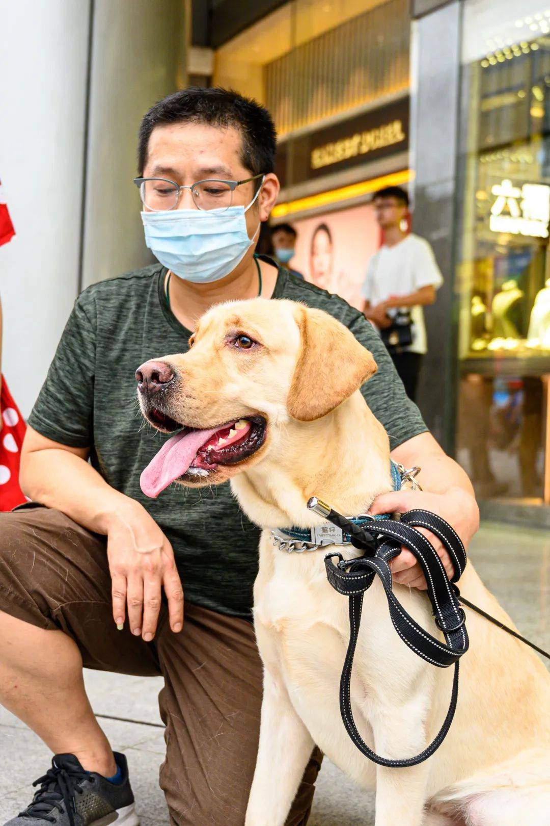 城管执法现场支招教你狗狗上牌新技能就在百花广场