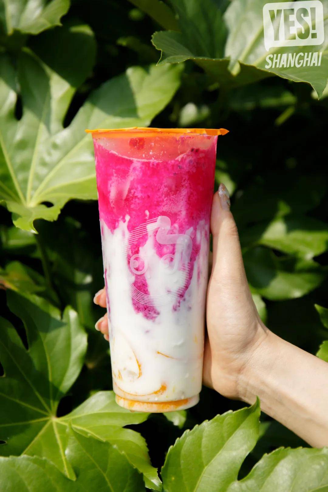 coco竟然23岁了!今夏又凭4款「摇摇果茶」c位出道!