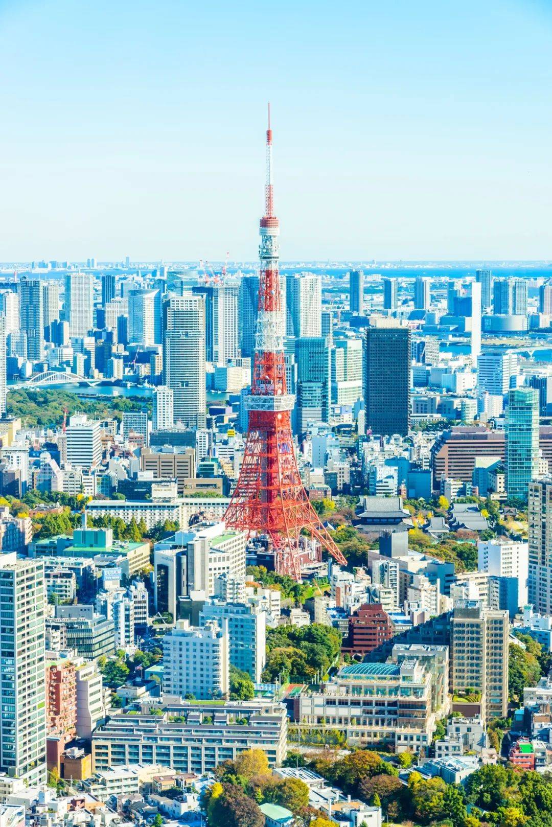东京地标图片