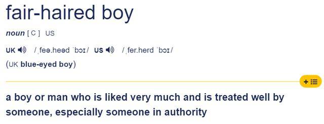 wide是宽的boy是男孩那么wideboy是什么意思