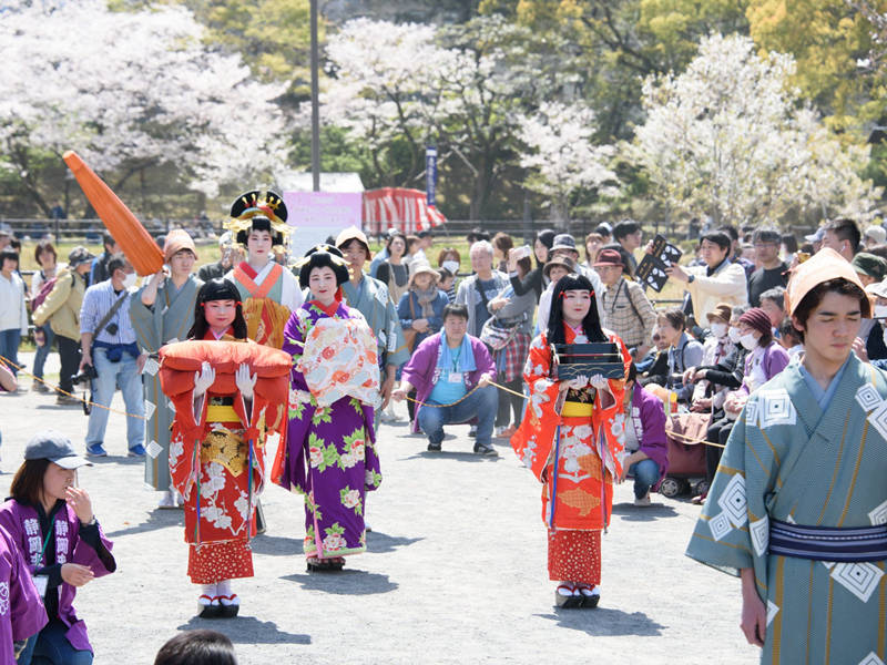 在日本旅游,观看"花魁"游街时,有什么禁忌?