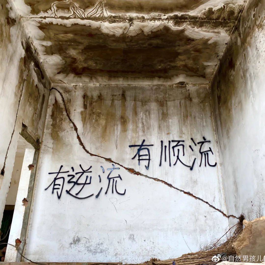 这些废墟上的标语,写出了生活_文字