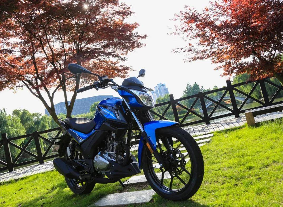 胖虎试驾七千多块还能磨膝的宗申z0你还想怎样