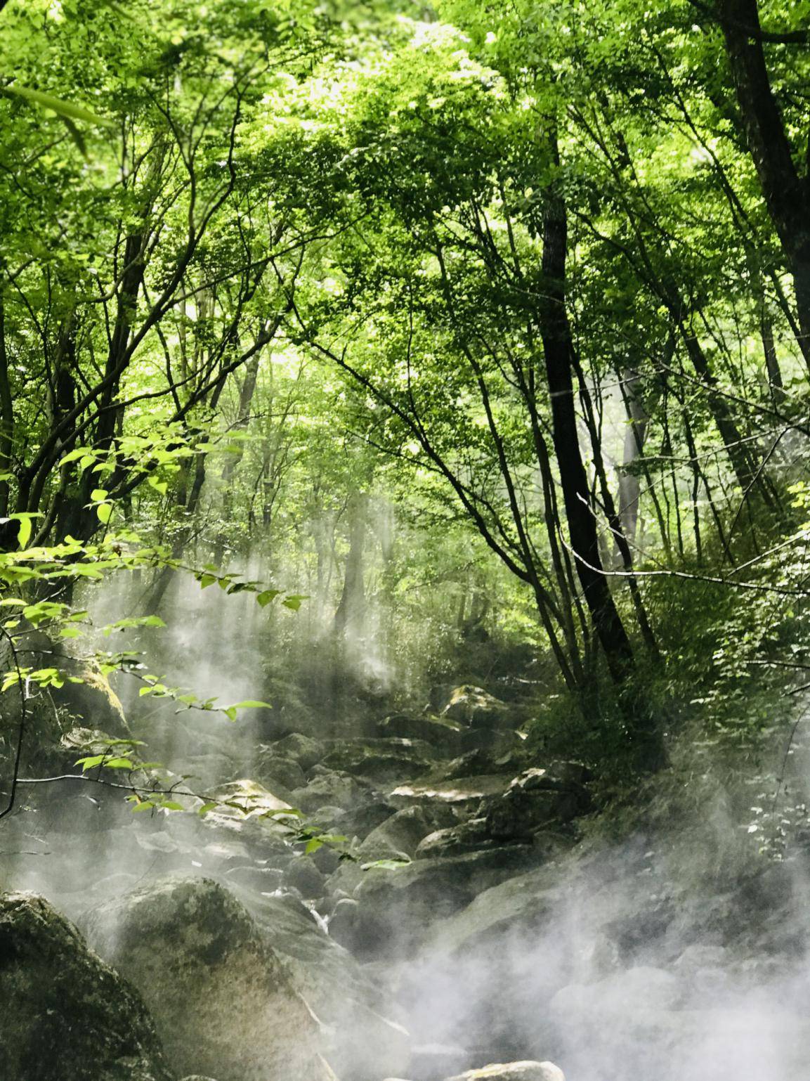 探訪終南山泉水源地茂林深澗有好水