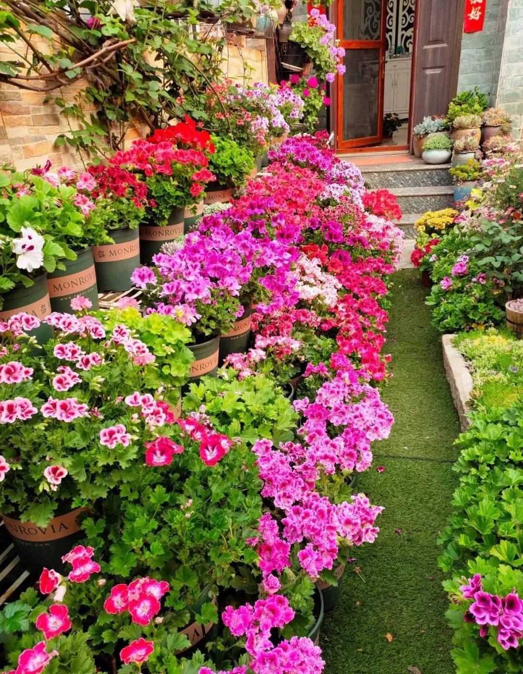 夏天~庭院~花集