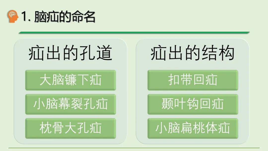 脑疝基础知识复习