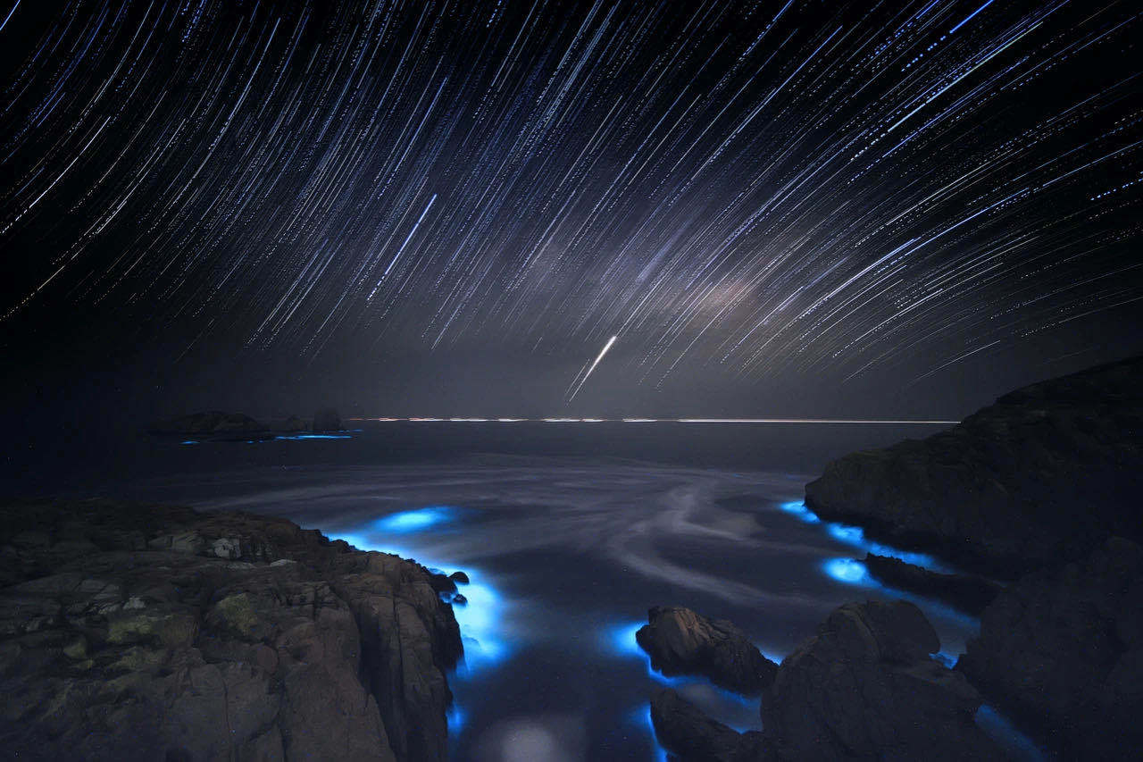 "5月的渔山岛,让我们迎接最蓝的海,最美的星空,最梦幻的蓝眼泪!