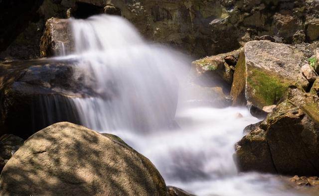 「岭南记忆」揭阳揭西:西坑香雪海,坪上绿云烟