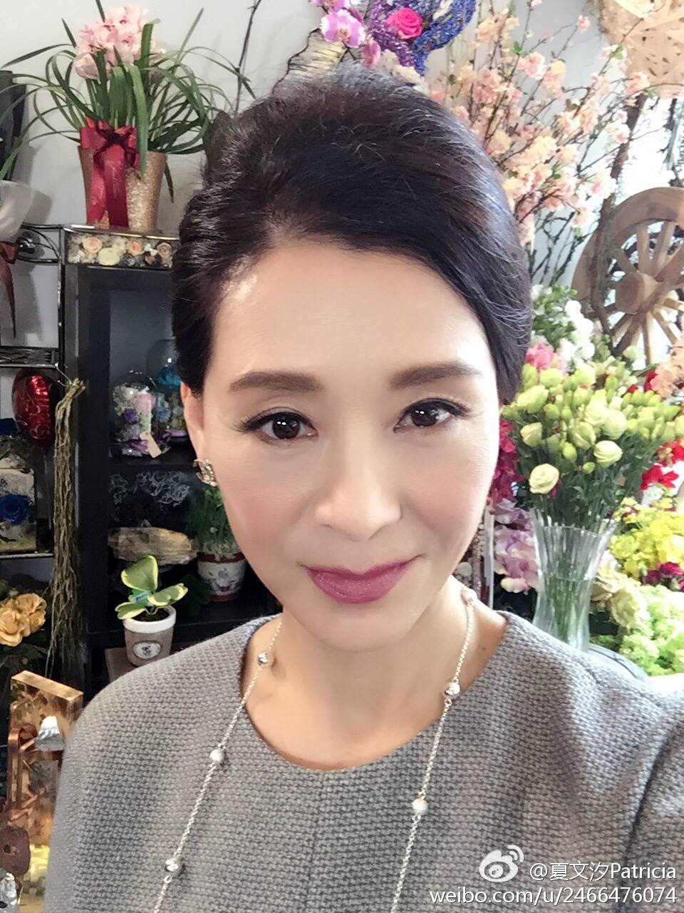 美人不迟暮夏文汐的图集