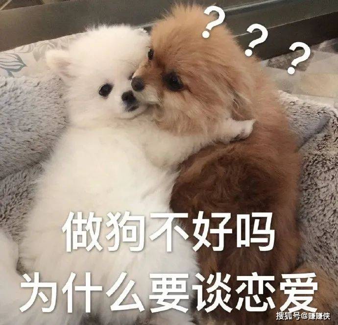 搞笑表情包图片笑的味道你值得知道