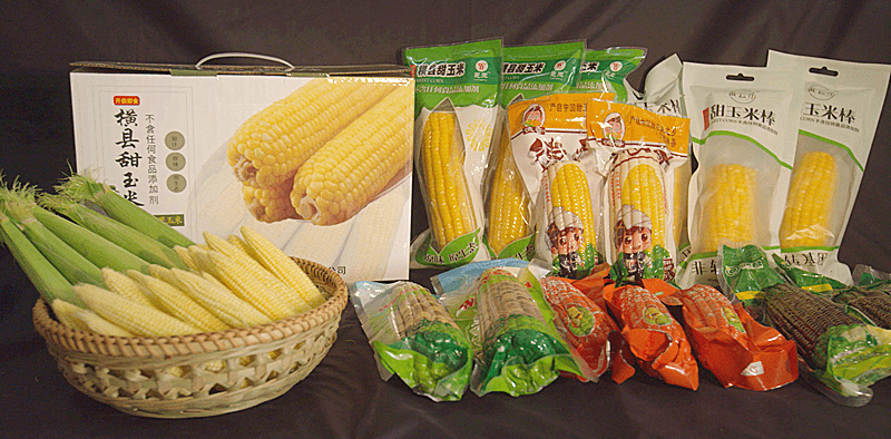 特色产品|横县甜玉米凭什么获得农产品地理标志登记证书?