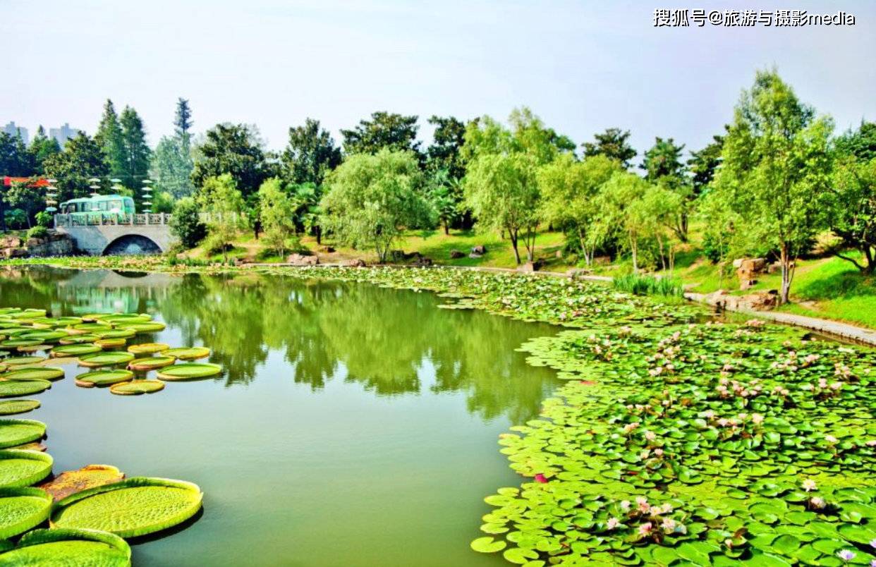 蚌埠市水利江淮植物园图片