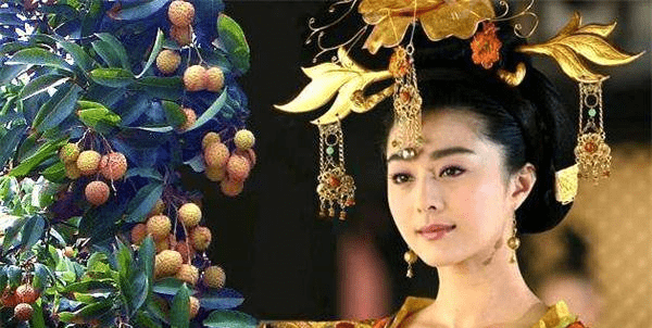 唐朝杨贵妃不就吃了个岭南的荔枝,为什么就会受到千古非议?