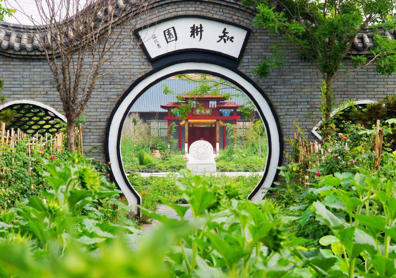 河南省虞城县郭土楼村有个行知园乡村旅游新名片