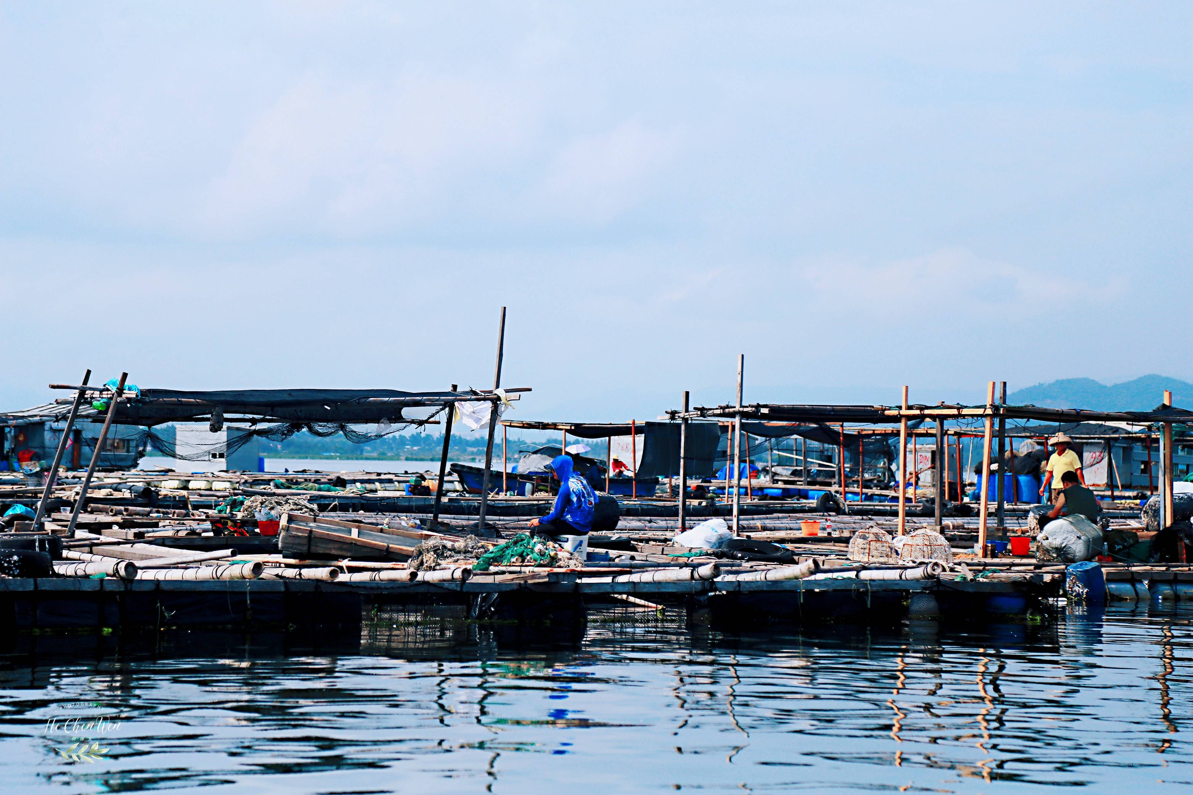 中國的海上吉普賽人,家家戶戶以捕魚為生,常年住在海上_陵水