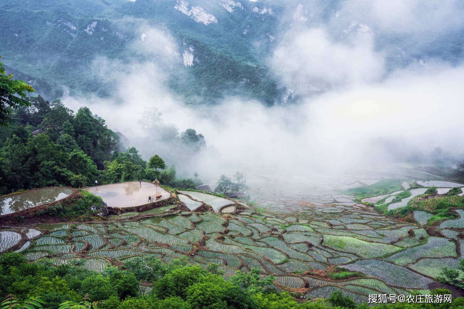 笼寨位于湖北省恩施土家族苗族自治州宣恩县沙道沟镇,坐落于深山峡谷
