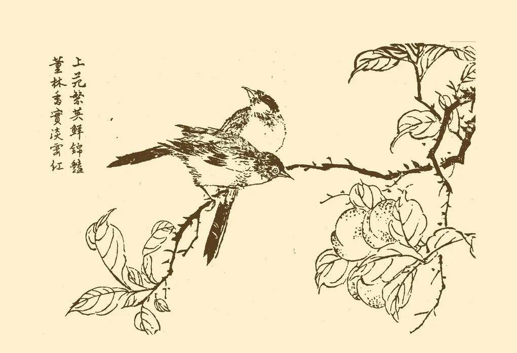 《芥子园画谱》书画界的"武功秘籍"