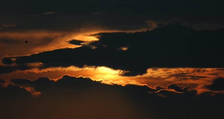 家电产业正迎来消费品牌化和市场寡头化-家电圈官网