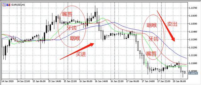 原创汇课堂:用好鳄鱼线指标,不错过好行情,才能赚钱