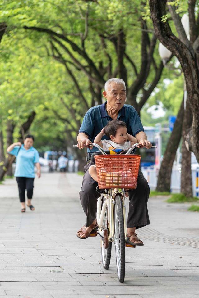 原创一堆塑料能赔几个钱?孙子撞坏手办,爷爷嘲讽,结局真让人解气